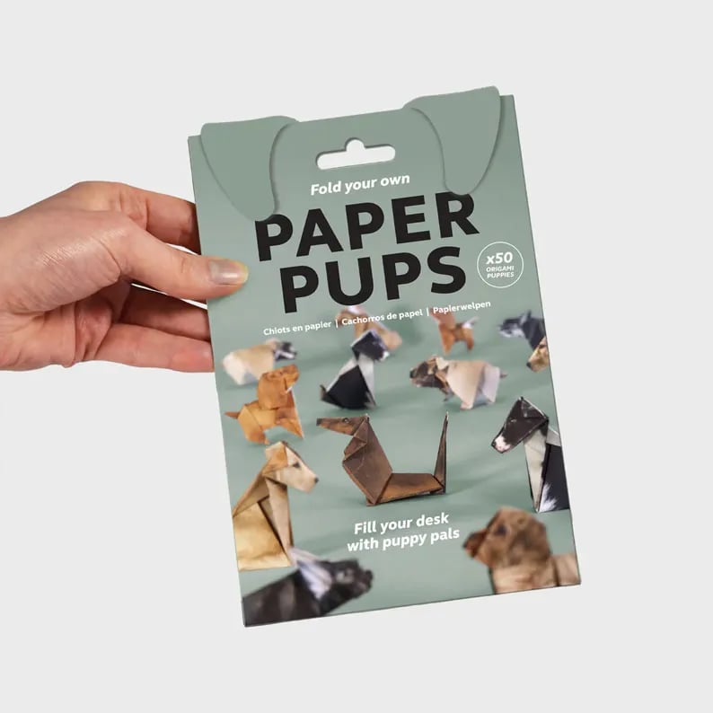Origami Kitty Fun Pack