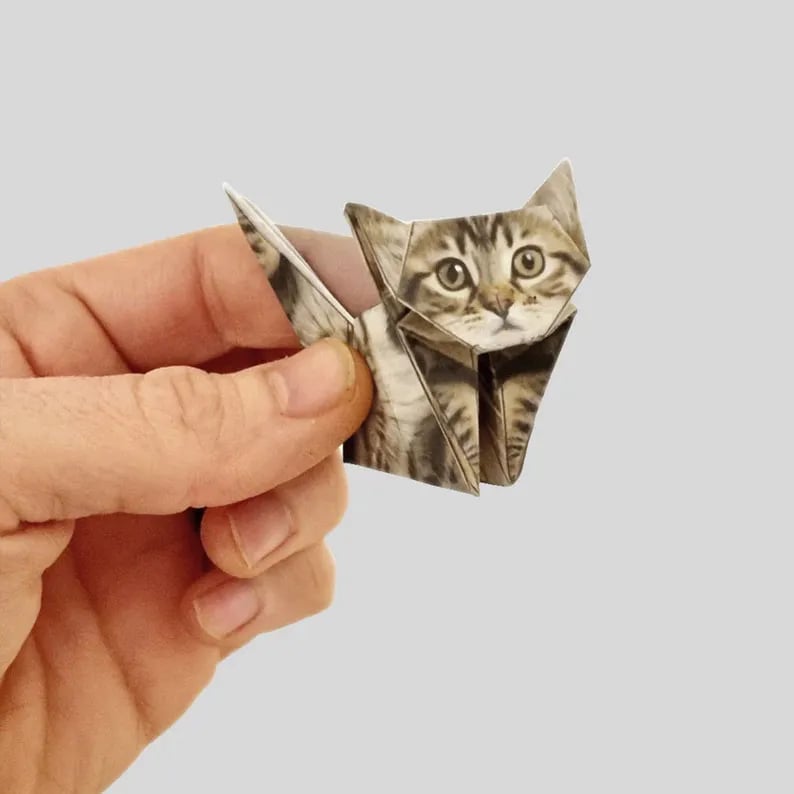Origami Kitty Fun Pack
