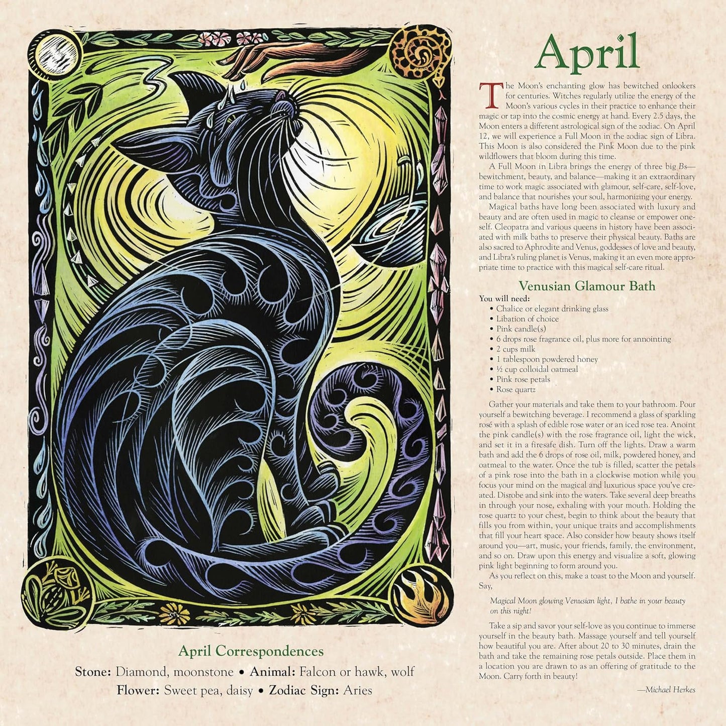 New 2026 Magical Witch Calendar🔮