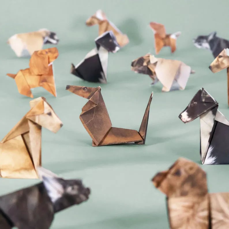 Origami Kitty Fun Pack